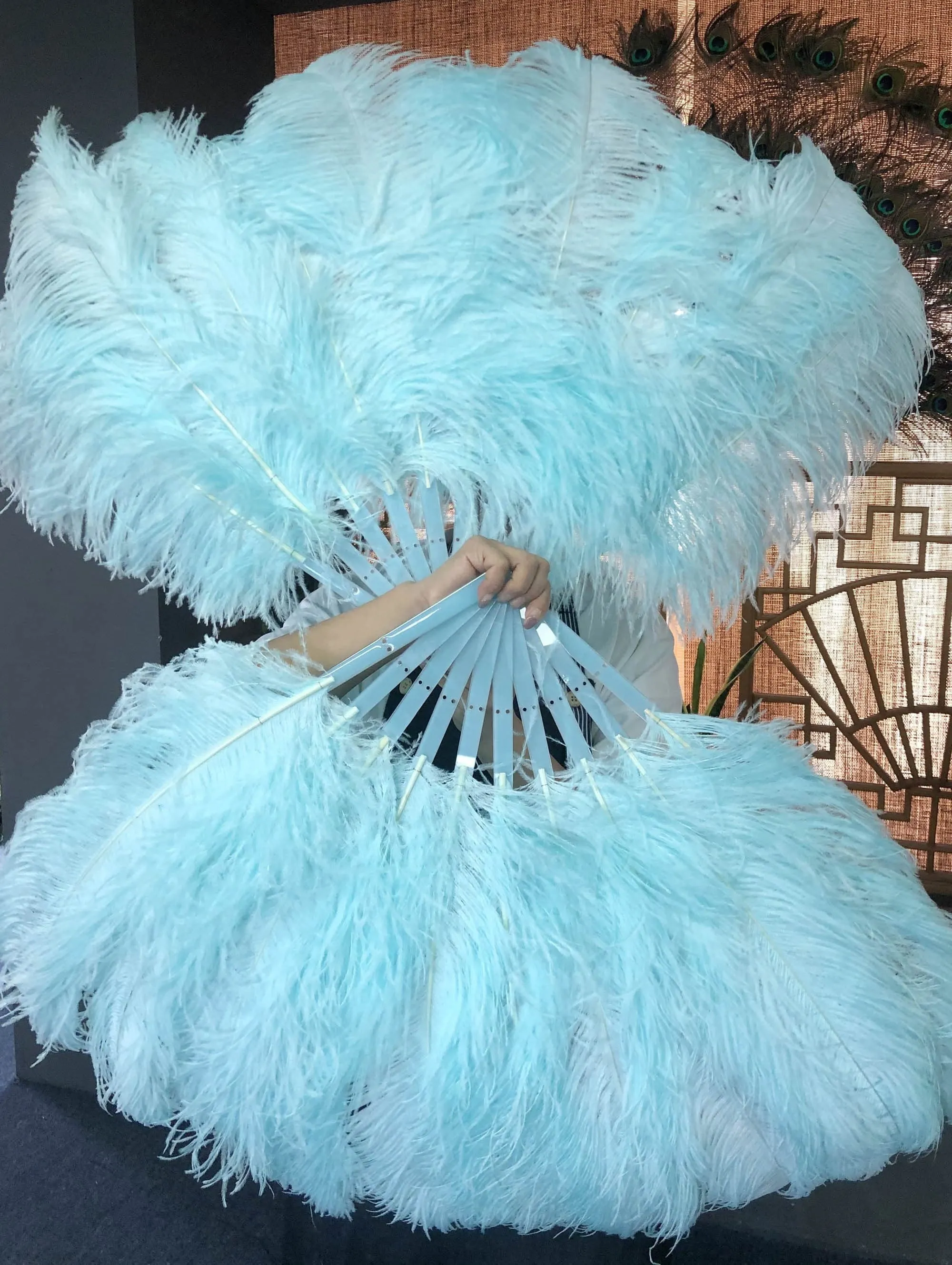 A pair Single layer aqua Beginner’s Ostrich Feather Fan