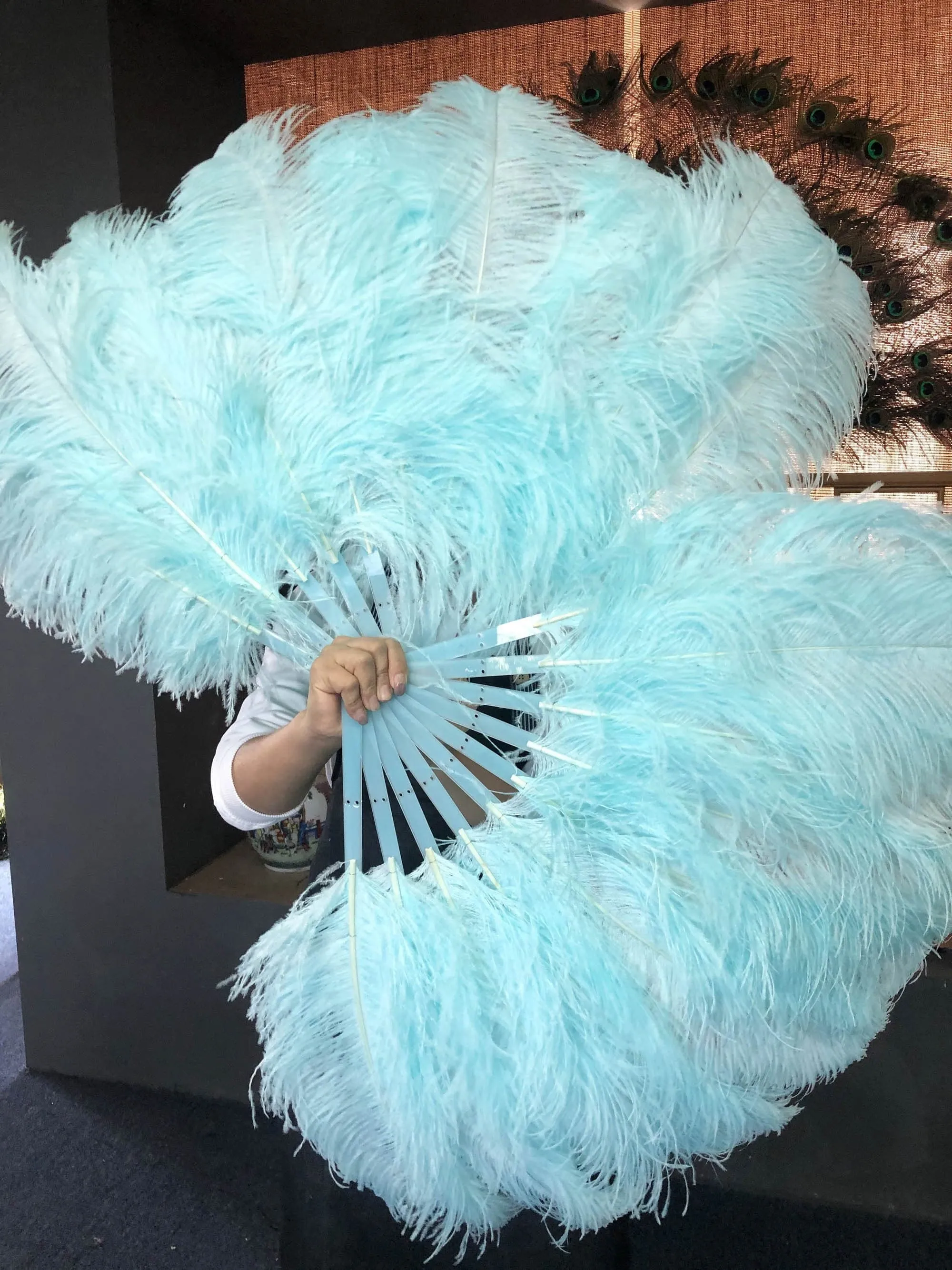 A pair Single layer aqua Beginner’s Ostrich Feather Fan