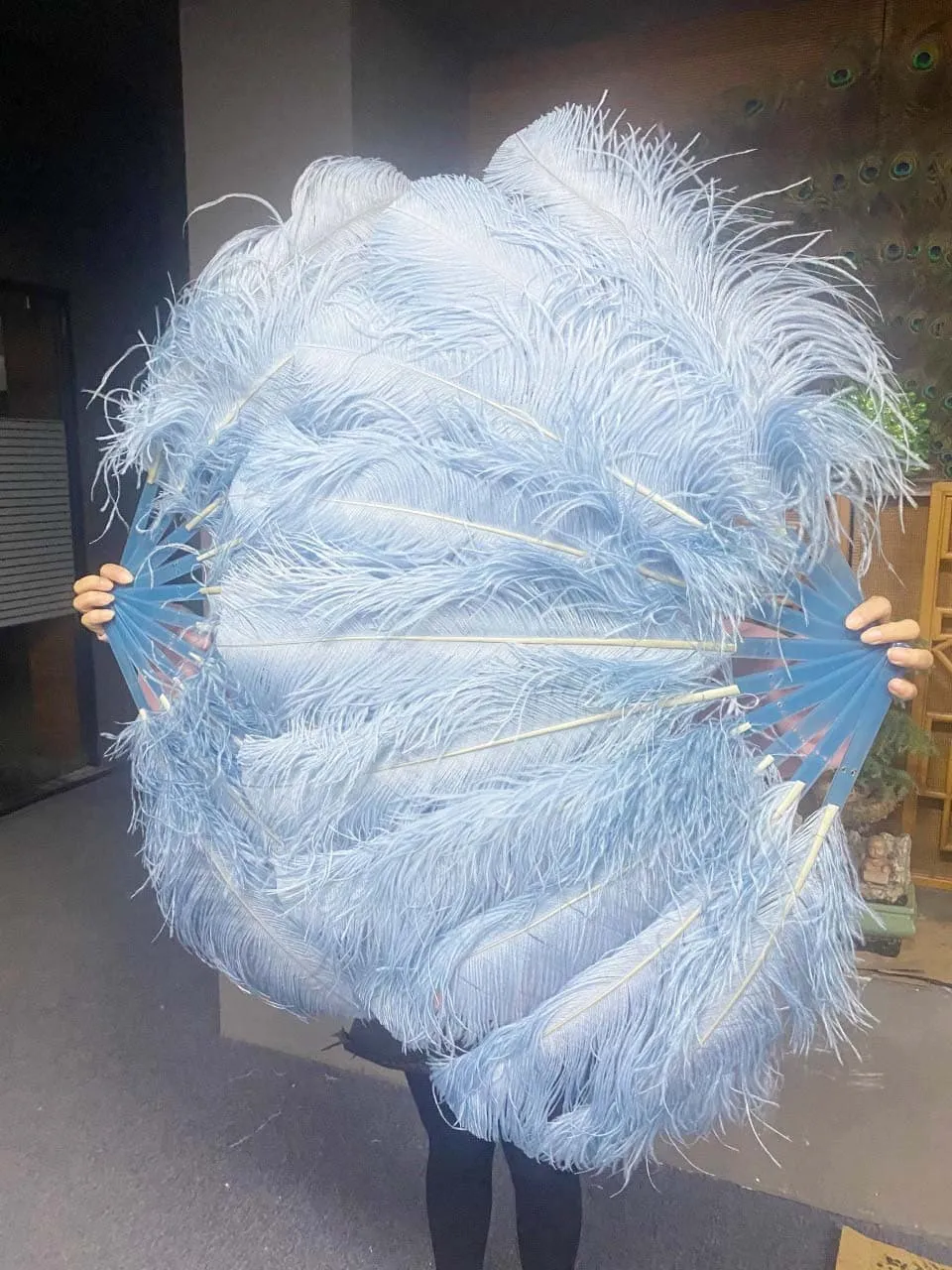 A pair Single layer baby blue Beginner’s Ostrich Feather Fan