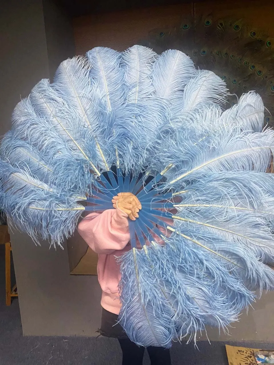 A pair Single layer baby blue Beginner’s Ostrich Feather Fan