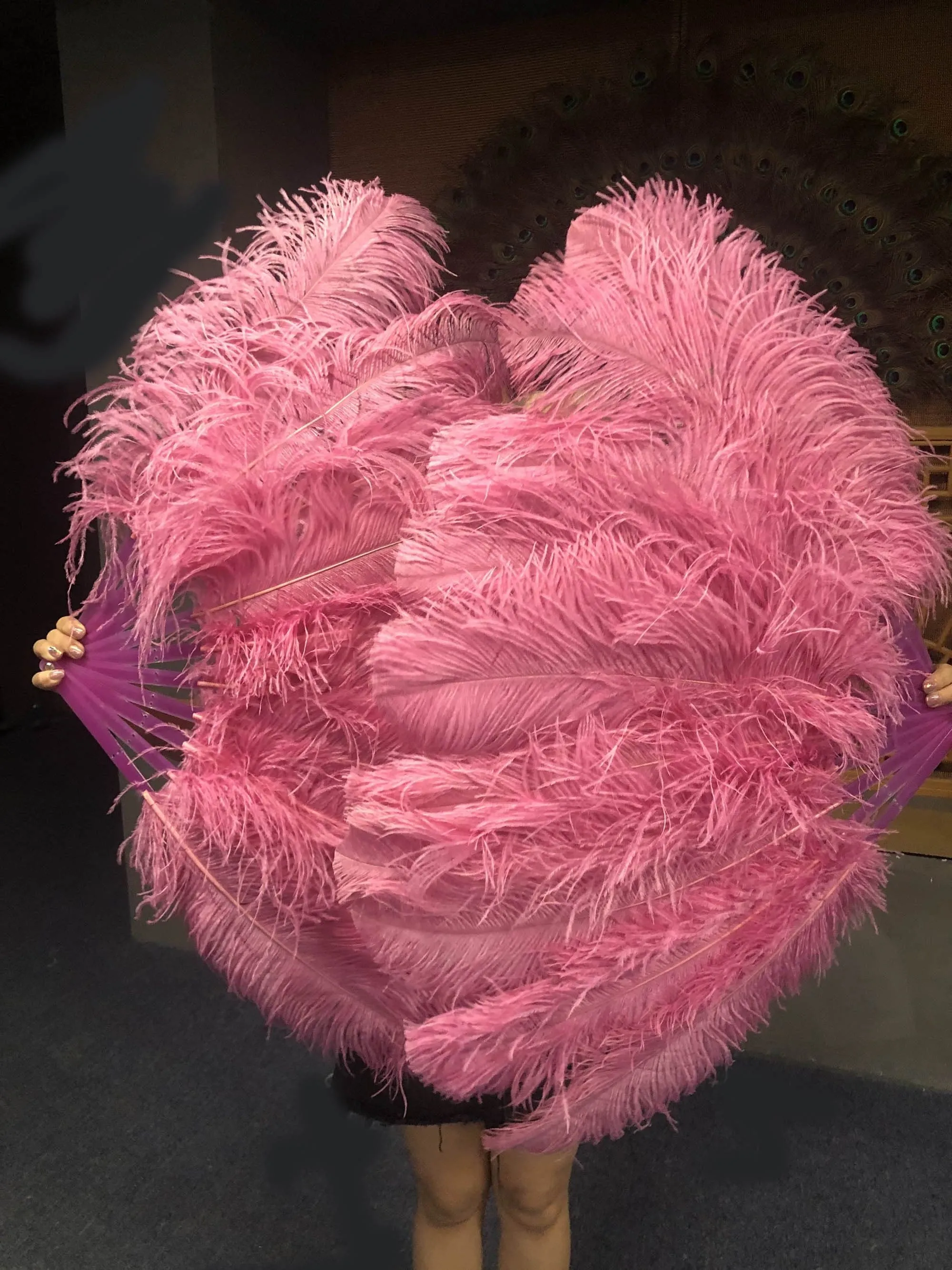A pair Single layer fuchsia Beginner’s Ostrich Feather Fan