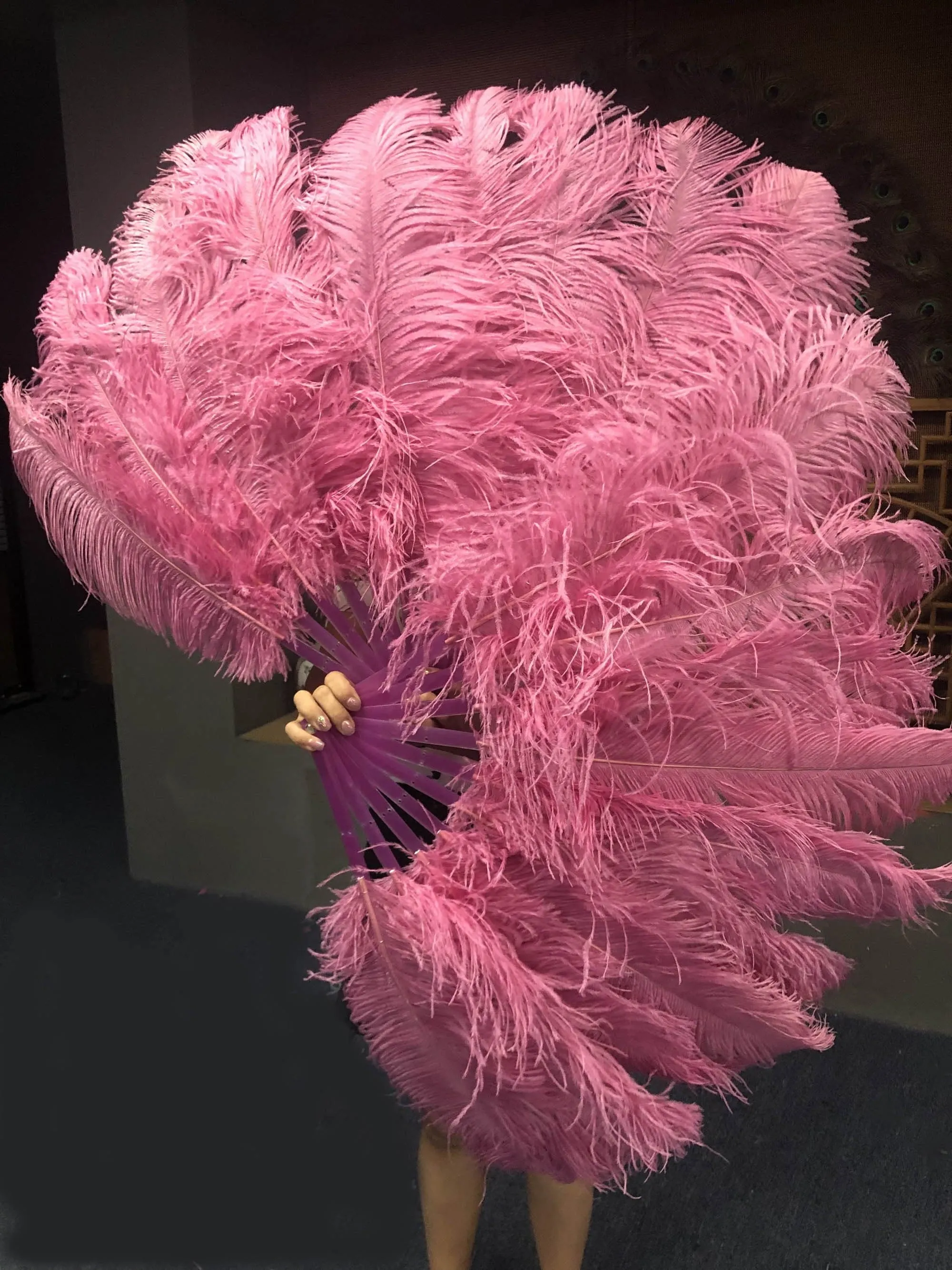 A pair Single layer fuchsia Beginner’s Ostrich Feather Fan
