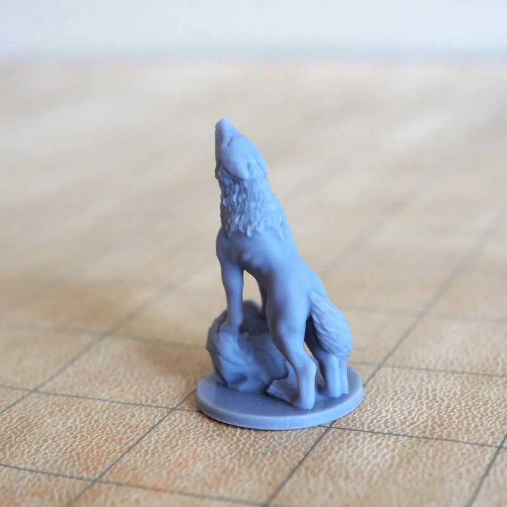 Common wolf