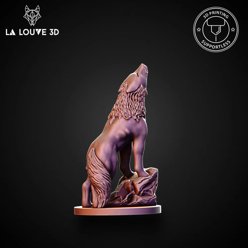 Common wolf