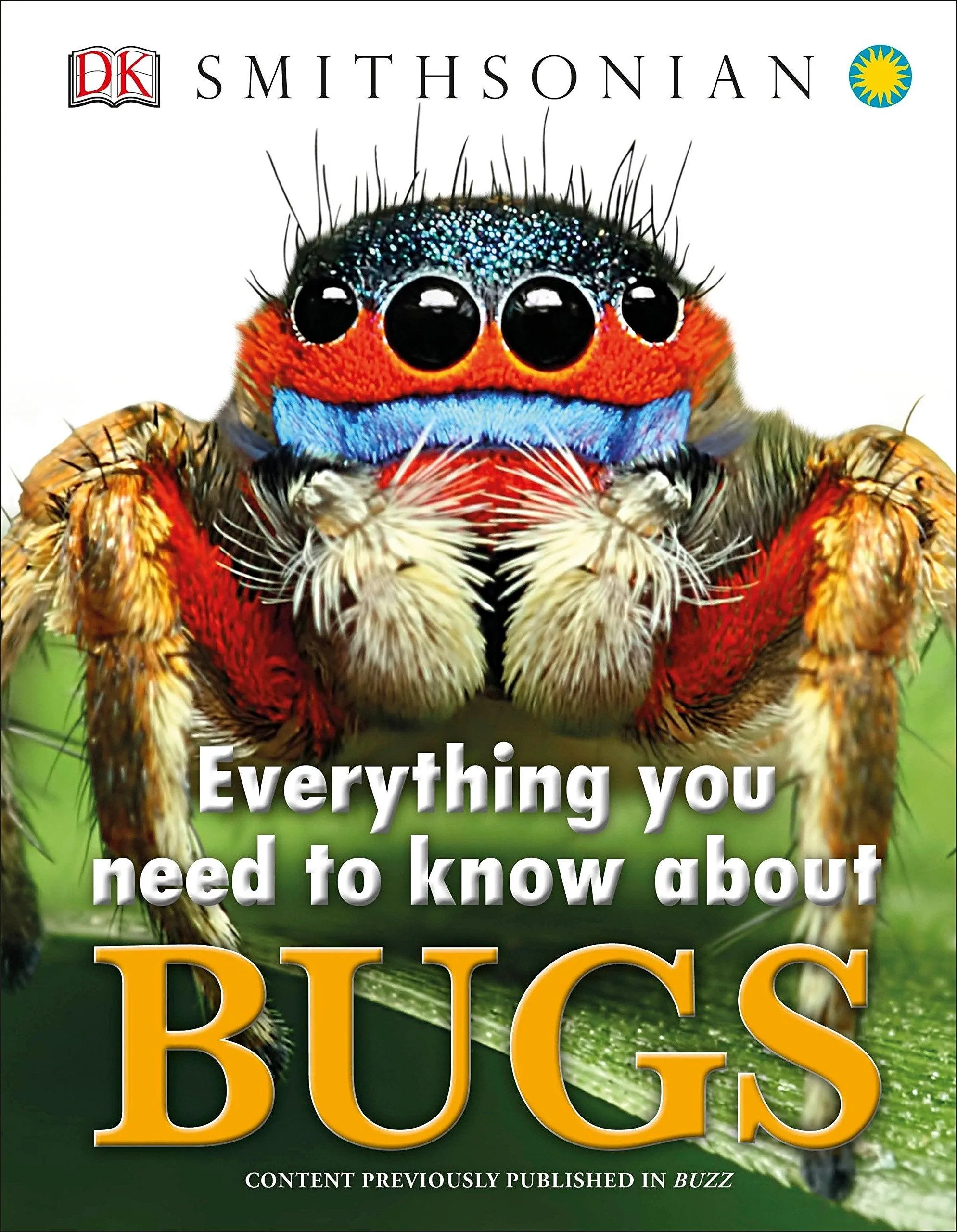 Everything You Need to Know About Bugs