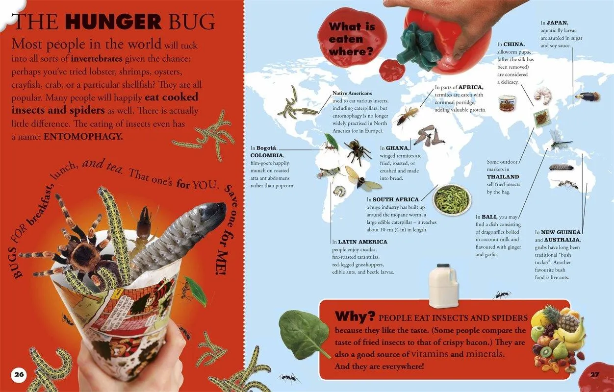 Everything You Need to Know About Bugs