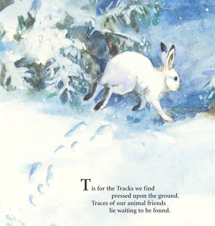 S is for S'mores: A Camping Alphabet Book